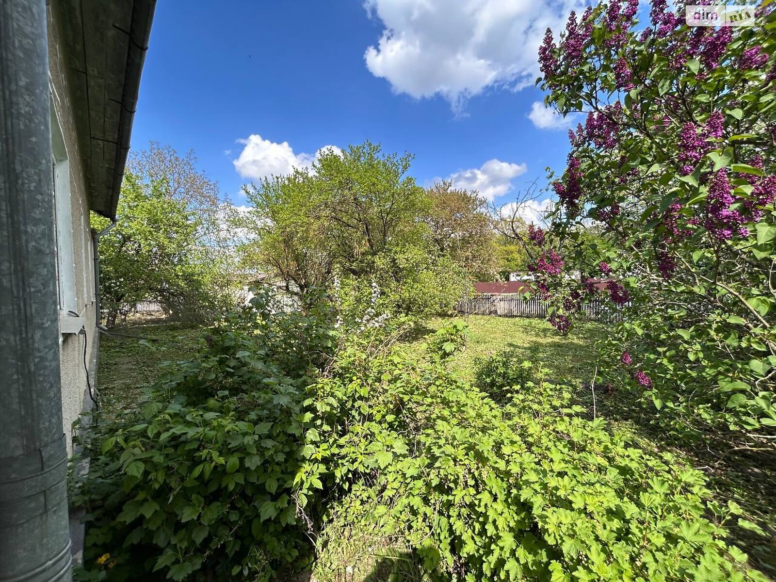 одноповерховий будинок з гаражем, 120 кв. м, цегла. Продаж у Чорткові фото 1 одноповерховий будинок з гаражем, 120 кв. м, цегла. Продаж у Чорткові фото 1