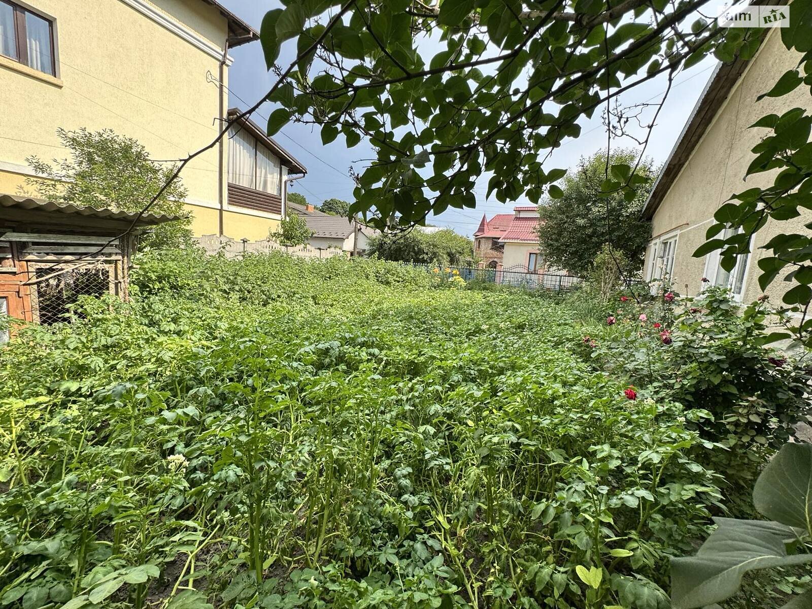 одноповерховий будинок з опаленням, 126.2 кв. м, цегла. Продаж в Чорткові, район Центр фото 1 одноповерховий будинок з опаленням, 126.2 кв. м, цегла. Продаж в Чорткові, район Центр фото 1