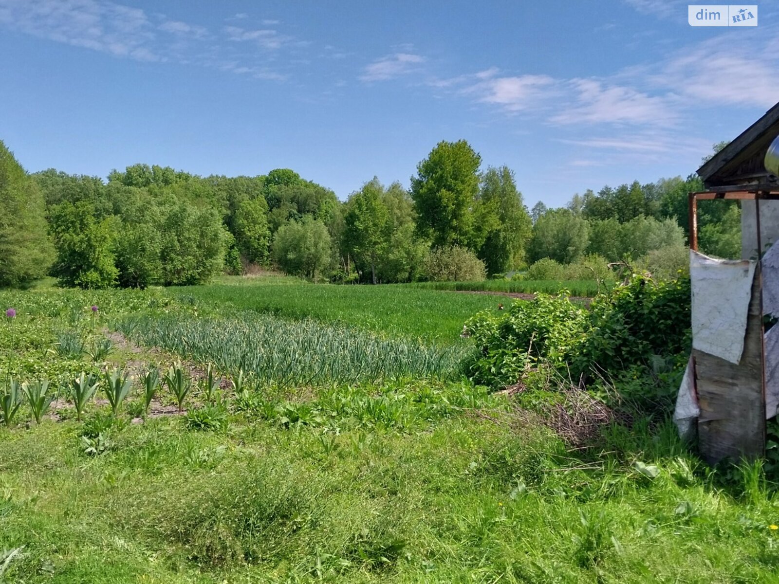 одноэтажный дом с гаражом, 62 кв. м, дерево и кирпич. Продажа в Червоных Партизанах фото 1