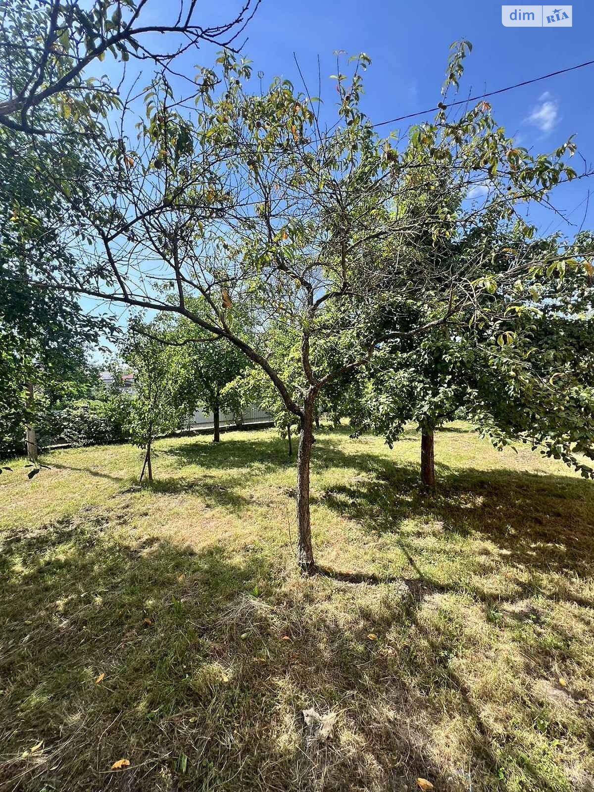одноповерховий будинок з верандою, 106.1 кв. м, цегла. Продаж у Чишках фото 1 одноповерховий будинок з верандою, 106.1 кв. м, цегла. Продаж у Чишках фото 1