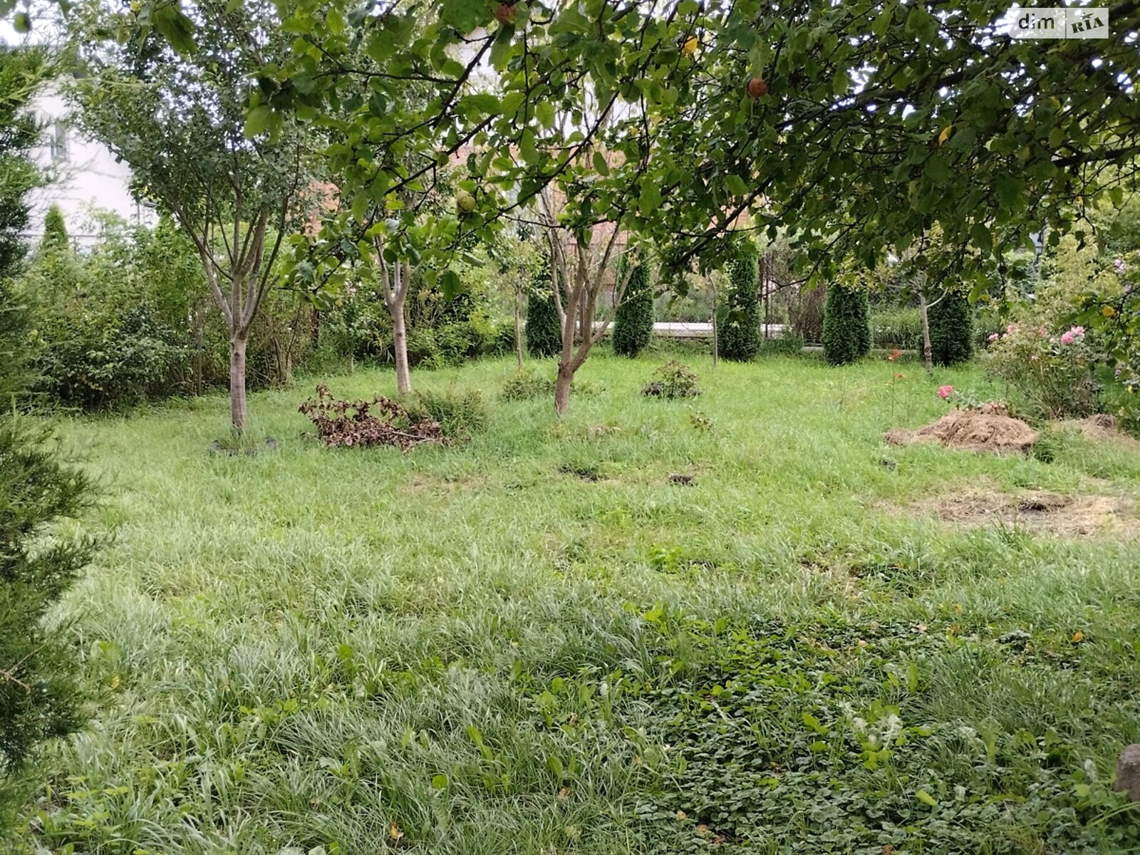 трехэтажный дом беседка, 395.6 кв. м, кирпич. Продажа в Чишках фото 1 трехэтажный дом беседка, 395.6 кв. м, кирпич. Продажа в Чишках фото 1