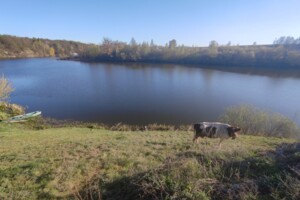 двухэтажный дом с верандой, 155.7 кв. м, кирпич. Продажа в Чуднове район Чуднов фото 2