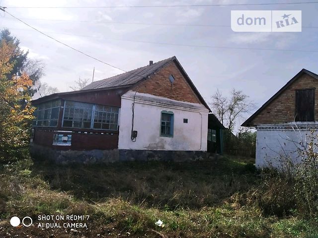 одноповерховий будинок з садом, 65 кв. м, цегла. Продаж в Волосівці (Житомирська обл.) фото 1 одноповерховий будинок з садом, 65 кв. м, цегла. Продаж в Волосівці (Житомирська обл.) фото 1