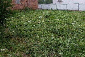 одноповерховий будинок, 62.4 кв. м, цегла. Продаж у Бережниці фото 2
