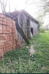 одноповерховий будинок, 100 кв. м, дерево та цегла. Продаж у Чукві фото 2