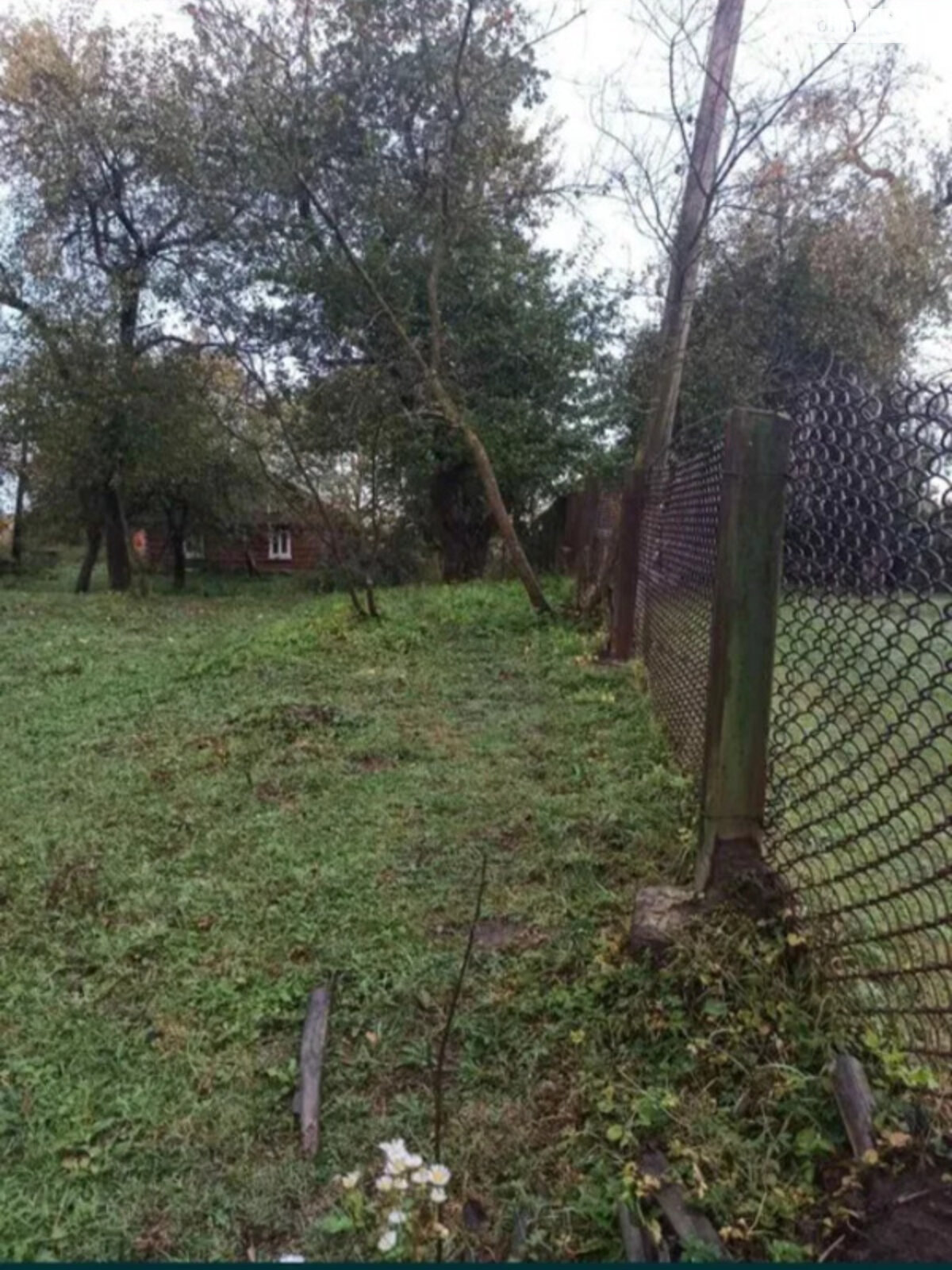 одноповерховий будинок, 100 кв. м, дерево та цегла. Продаж у Чукві фото 1 одноповерховий будинок, 100 кв. м, дерево та цегла. Продаж у Чукві фото 1