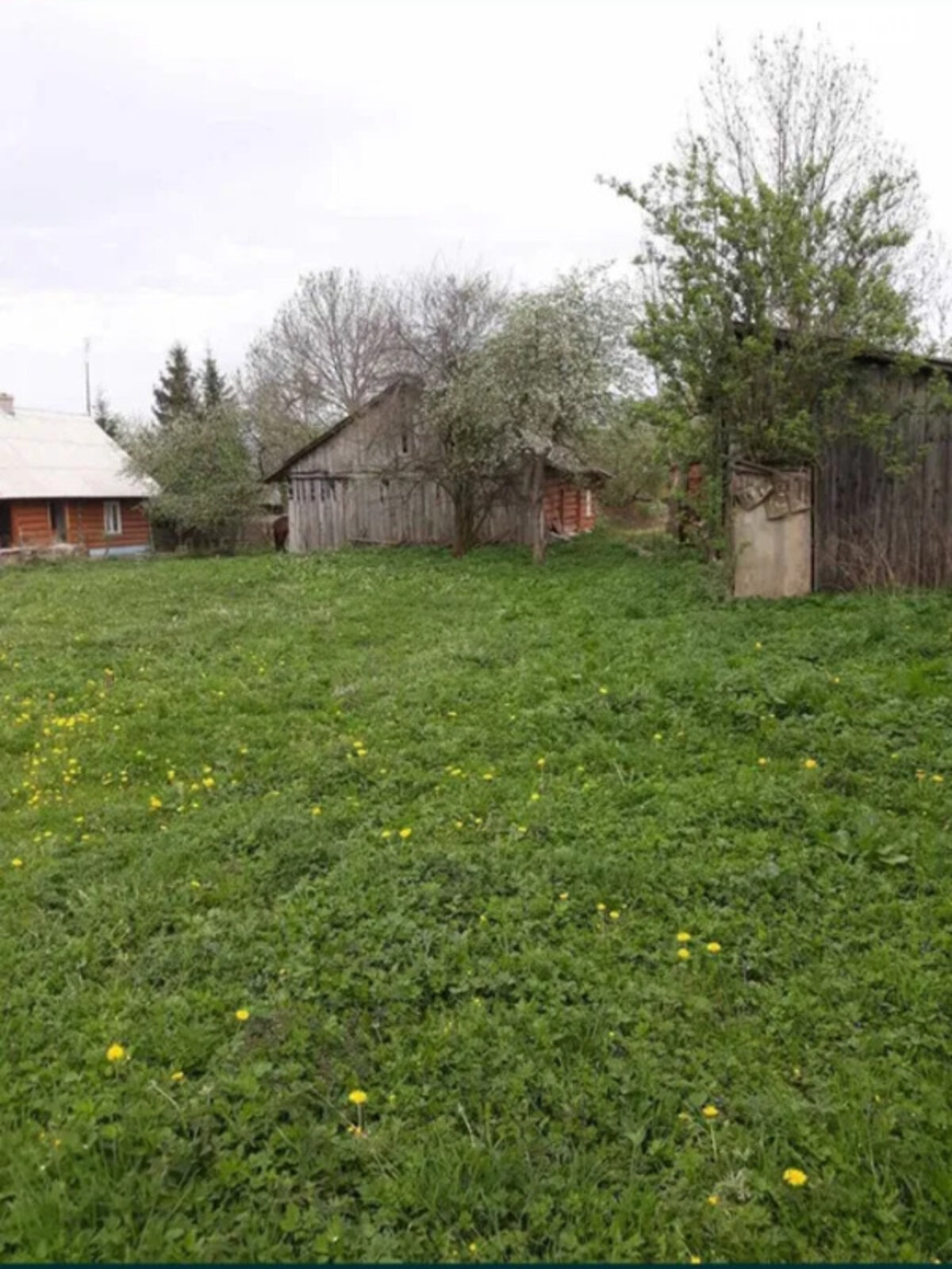 одноповерховий будинок, 100 кв. м, дерево та цегла. Продаж у Чукві фото 1 одноповерховий будинок, 100 кв. м, дерево та цегла. Продаж у Чукві фото 1