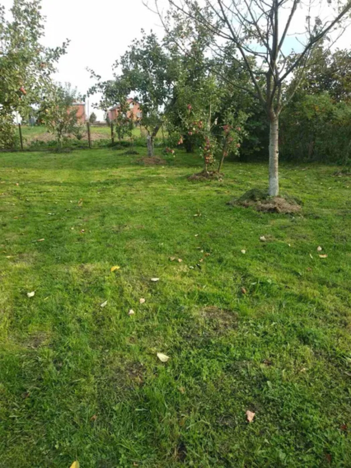 двоповерховий будинок, 370 кв. м, цегла. Продаж у Чукві фото 1