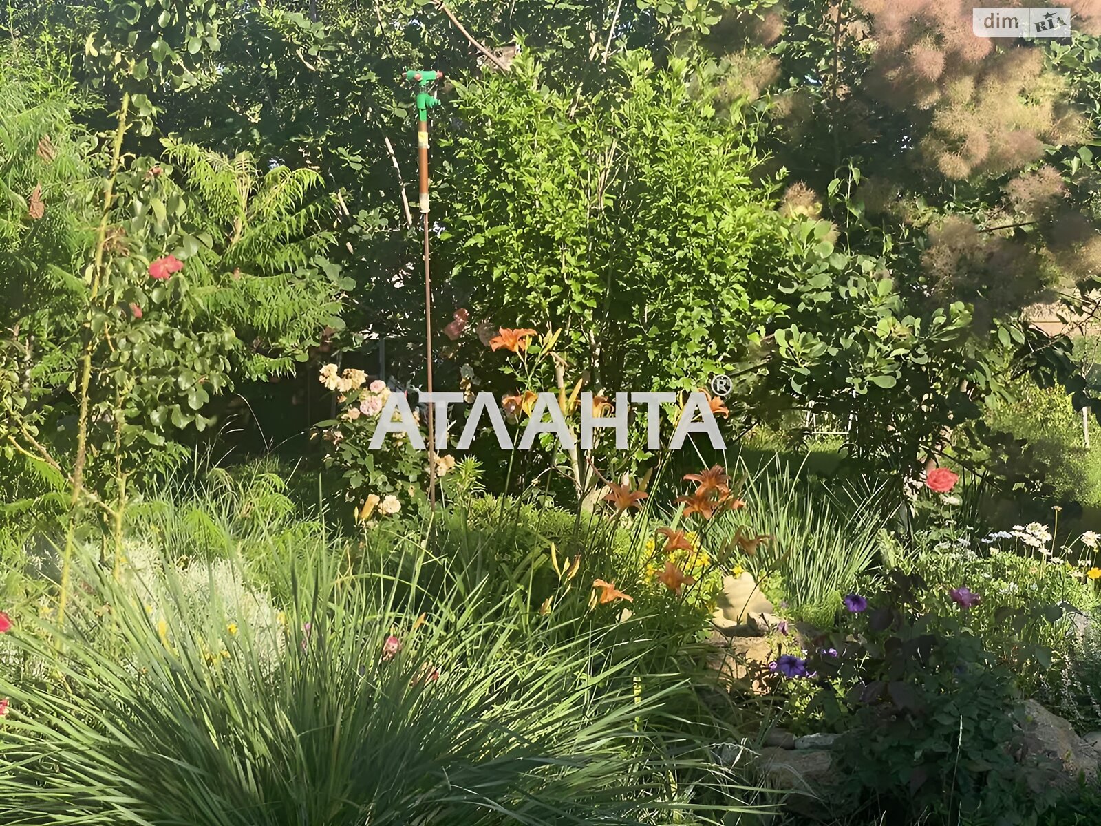 двухэтажный дом беседка, 204.4 кв. м, термоблок. Продажа в Дачном фото 1 двухэтажный дом беседка, 204.4 кв. м, термоблок. Продажа в Дачном фото 1