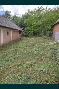 одноповерховий будинок з опаленням, 39.4 кв. м, цегла саманна. Продаж у Далешове фото 2
