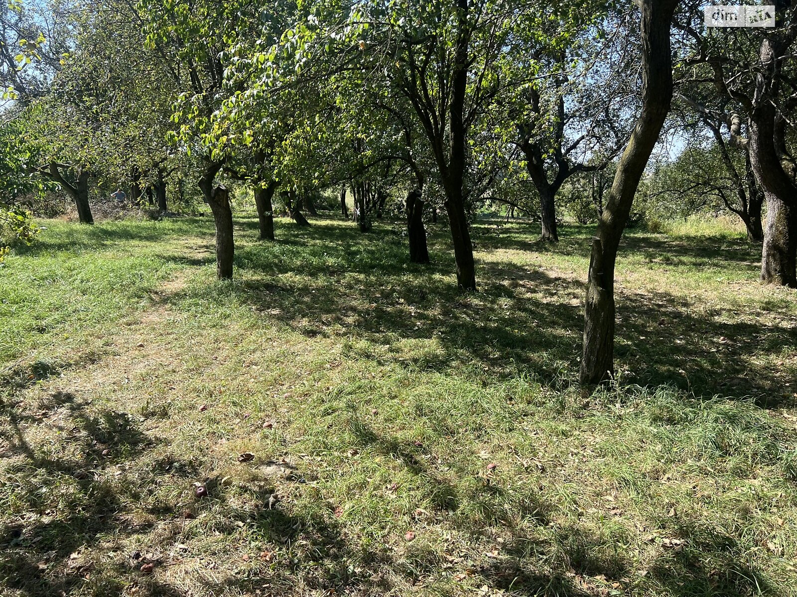 одноповерховий будинок, 55 кв. м, цегла. Продаж у Дашківцях фото 1 одноповерховий будинок, 55 кв. м, цегла. Продаж у Дашківцях фото 1