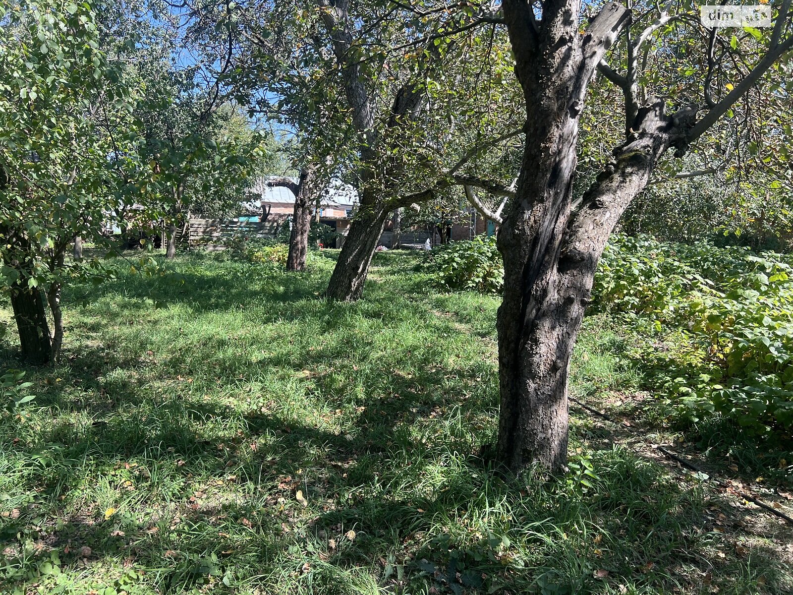 одноповерховий будинок, 55 кв. м, цегла. Продаж у Дашківцях фото 1 одноповерховий будинок, 55 кв. м, цегла. Продаж у Дашківцях фото 1