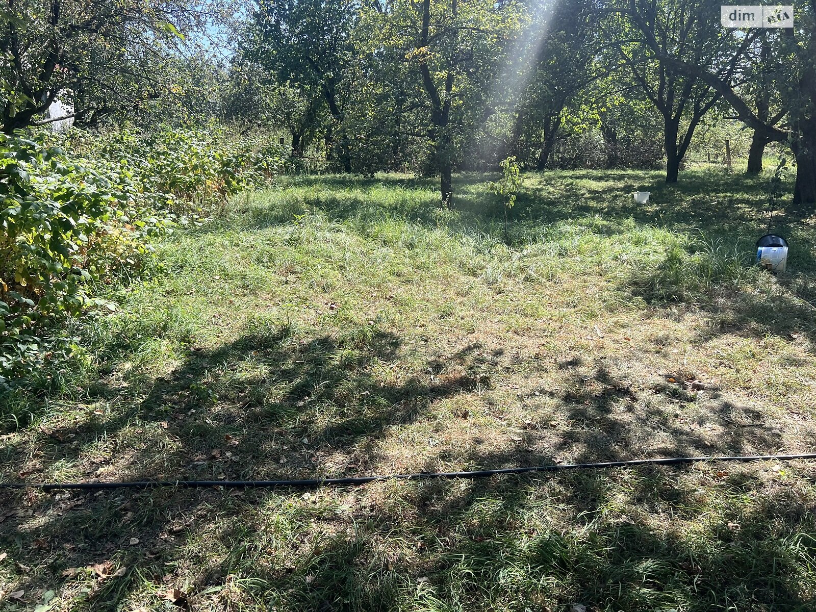 одноповерховий будинок, 55 кв. м, цегла. Продаж у Дашківцях фото 1 одноповерховий будинок, 55 кв. м, цегла. Продаж у Дашківцях фото 1