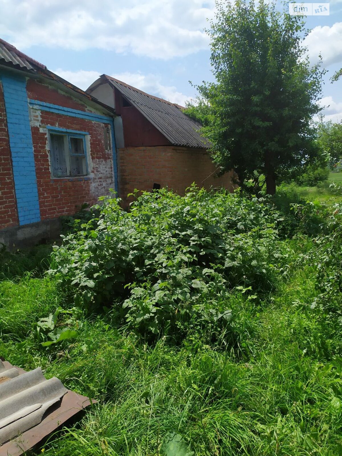 одноповерховий будинок з верандою, 90 кв. м, глинобитный. Продаж у Дашківцях фото 1 одноповерховий будинок з верандою, 90 кв. м, глинобитный. Продаж у Дашківцях фото 1