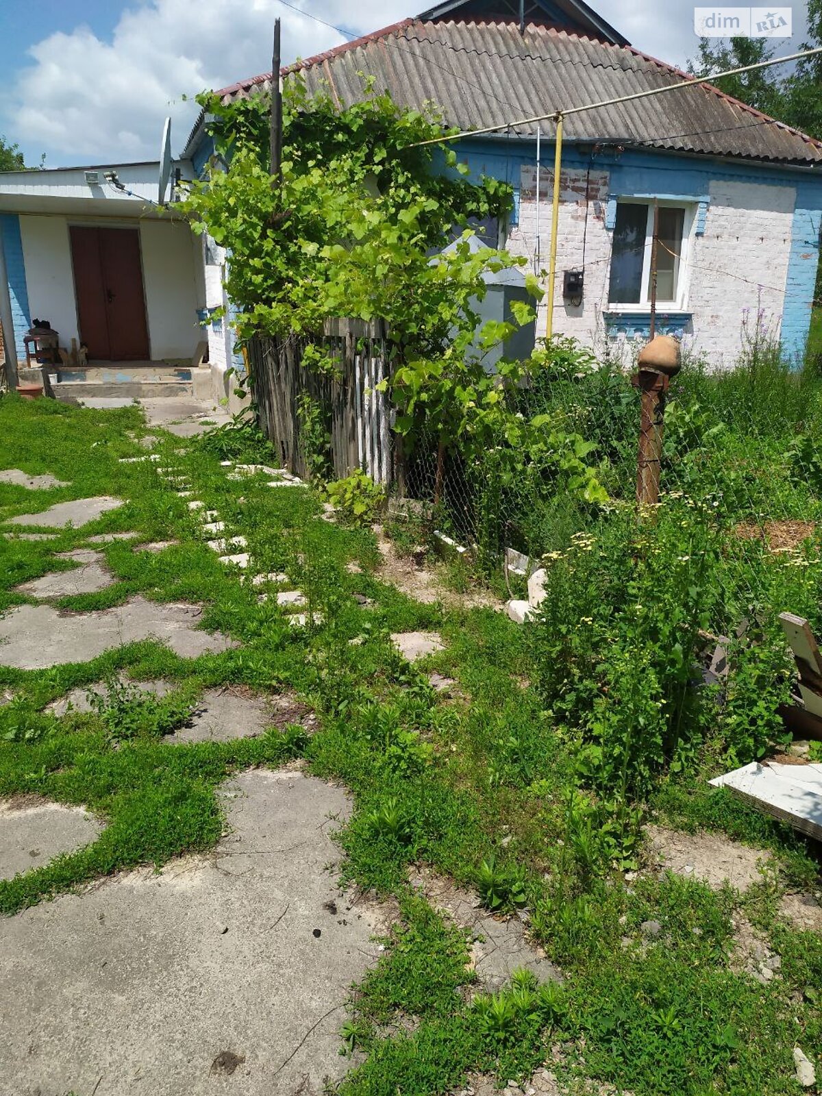 одноповерховий будинок з верандою, 90 кв. м, глинобитный. Продаж у Дашківцях фото 1 одноповерховий будинок з верандою, 90 кв. м, глинобитный. Продаж у Дашківцях фото 1