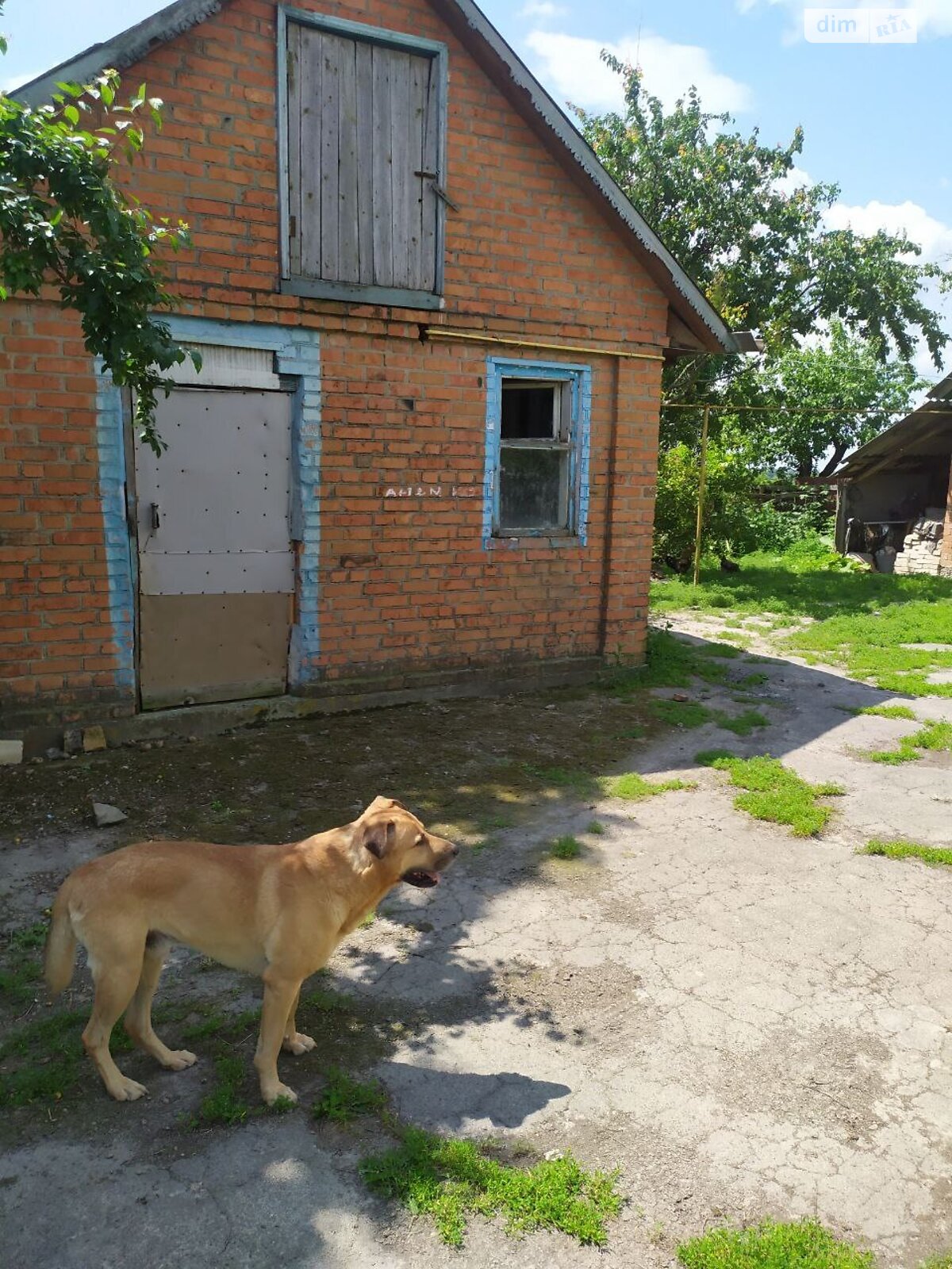 одноповерховий будинок з верандою, 90 кв. м, глинобитный. Продаж у Дашківцях фото 1 одноповерховий будинок з верандою, 90 кв. м, глинобитный. Продаж у Дашківцях фото 1