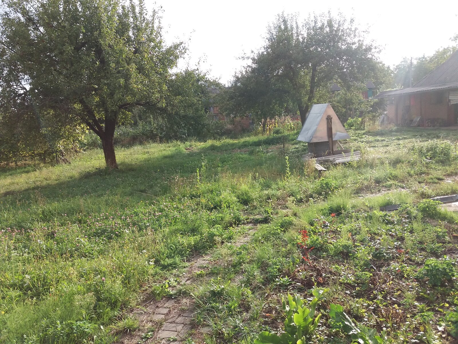 одноповерховий будинок з опаленням, 89.3 кв. м, цегла. Продаж у Дашківцях фото 1 одноповерховий будинок з опаленням, 89.3 кв. м, цегла. Продаж у Дашківцях фото 1