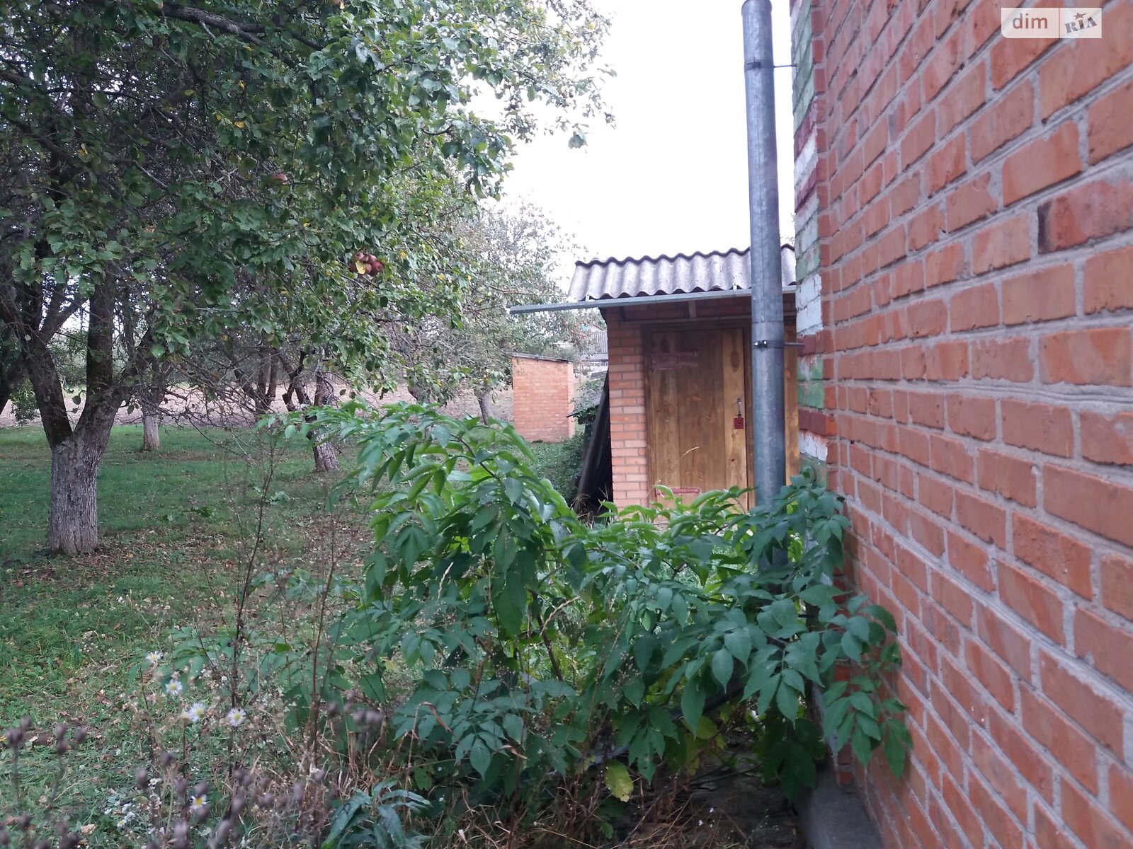 одноповерховий будинок з опаленням, 89.3 кв. м, цегла. Продаж у Дашківцях фото 1 одноповерховий будинок з опаленням, 89.3 кв. м, цегла. Продаж у Дашківцях фото 1