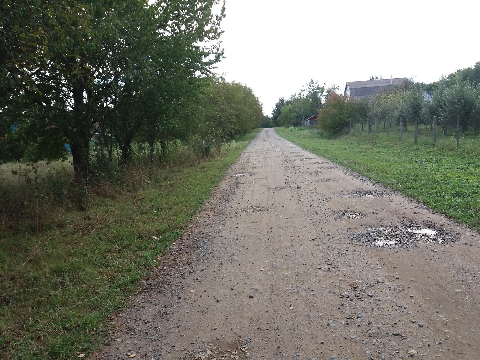 одноповерховий будинок з опаленням, 89.3 кв. м, цегла. Продаж у Дашківцях фото 1 одноповерховий будинок з опаленням, 89.3 кв. м, цегла. Продаж у Дашківцях фото 1