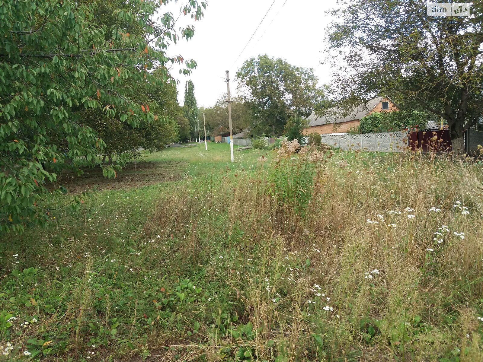 одноповерховий будинок з опаленням, 89.3 кв. м, цегла. Продаж у Дашківцях фото 1 одноповерховий будинок з опаленням, 89.3 кв. м, цегла. Продаж у Дашківцях фото 1