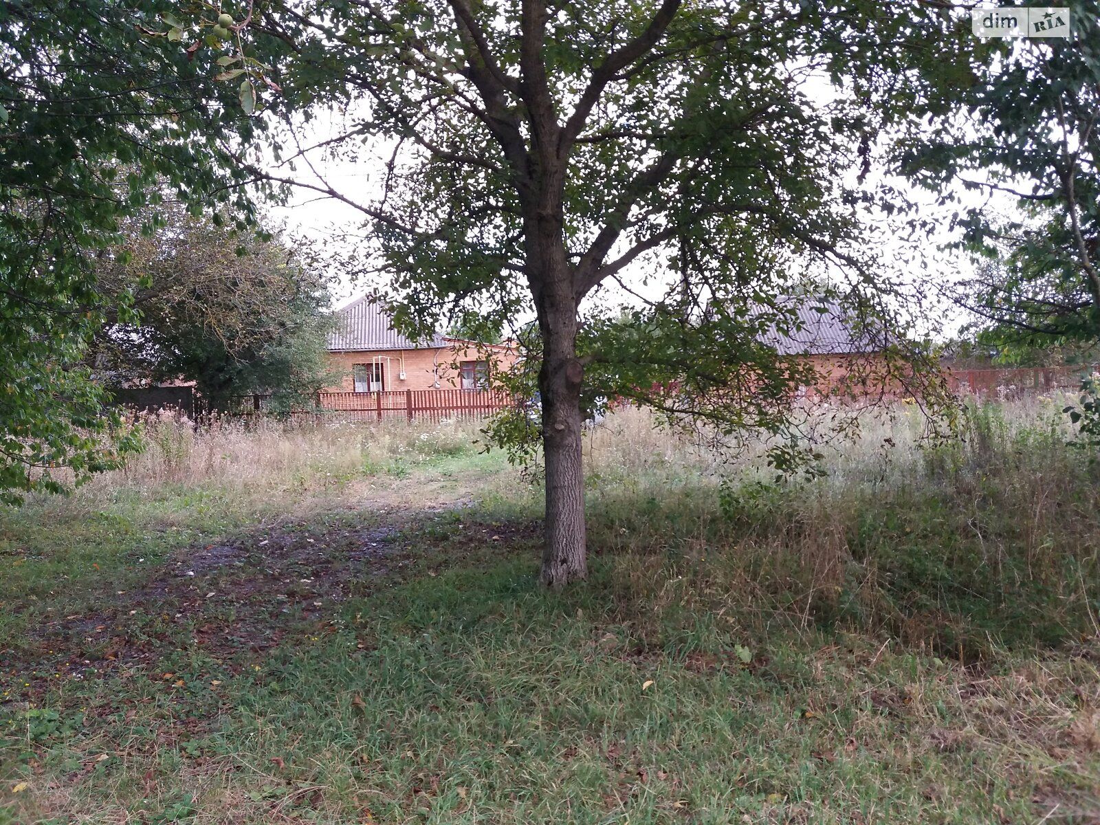 одноповерховий будинок з опаленням, 89.3 кв. м, цегла. Продаж у Дашківцях фото 1 одноповерховий будинок з опаленням, 89.3 кв. м, цегла. Продаж у Дашківцях фото 1