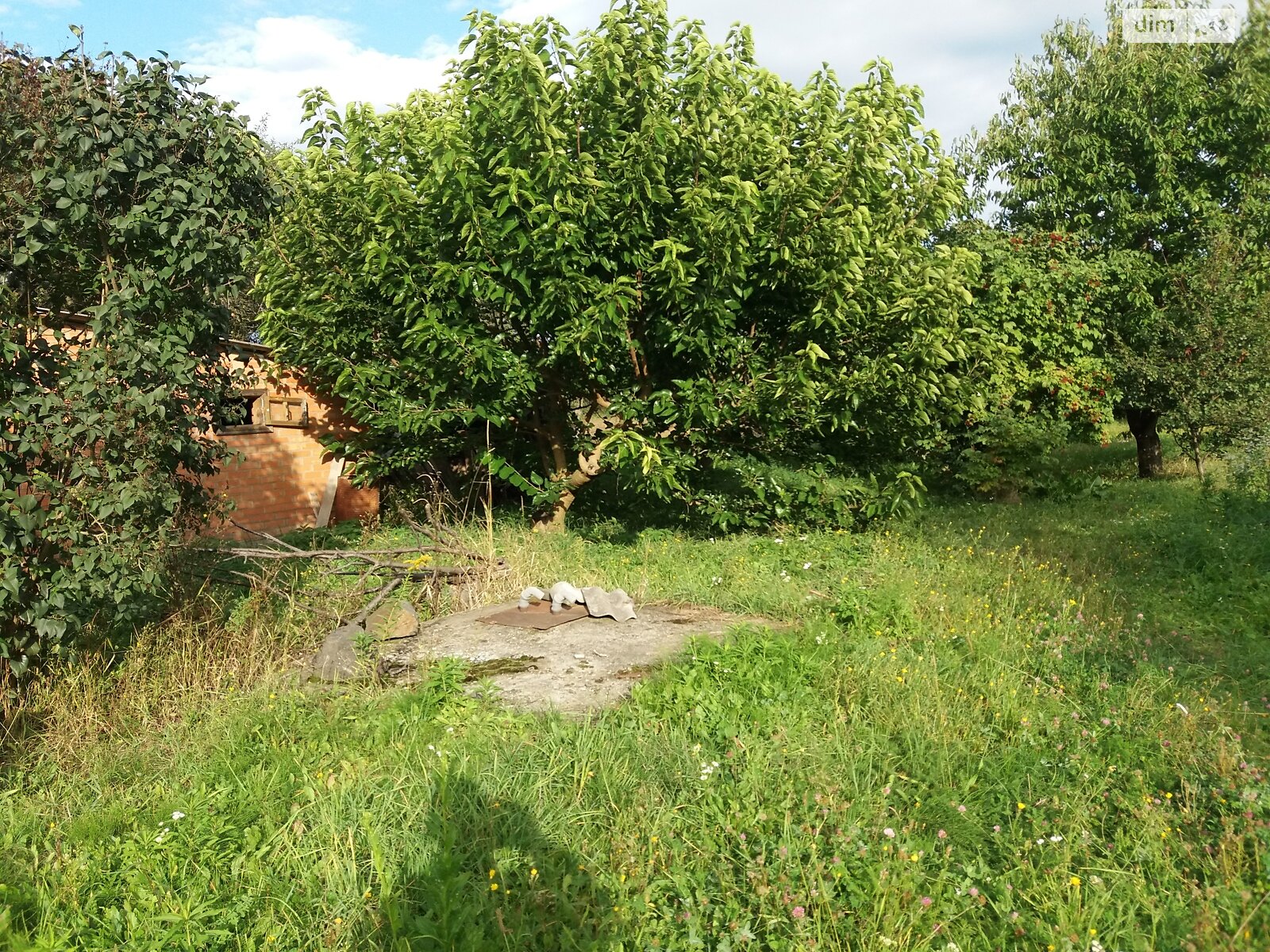 одноповерховий будинок з опаленням, 89.3 кв. м, цегла. Продаж у Дашківцях фото 1 одноповерховий будинок з опаленням, 89.3 кв. м, цегла. Продаж у Дашківцях фото 1