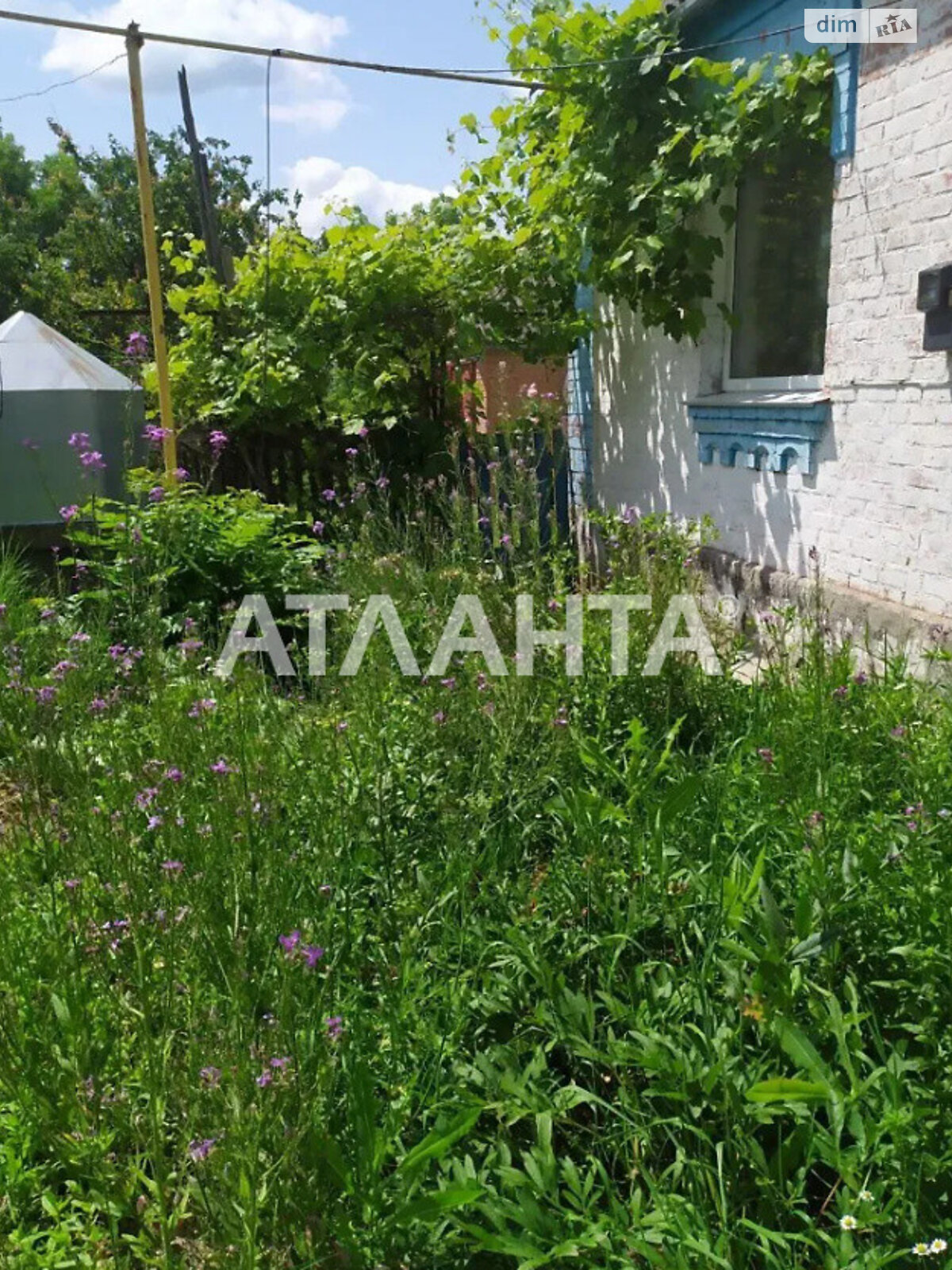 одноэтажный дом, 90 кв. м, кирпич. Продажа в Дашковцах фото 1 одноэтажный дом, 90 кв. м, кирпич. Продажа в Дашковцах фото 1