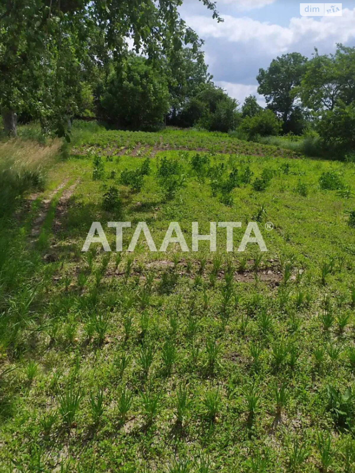 одноэтажный дом, 90 кв. м, кирпич. Продажа в Дашковцах фото 1 одноэтажный дом, 90 кв. м, кирпич. Продажа в Дашковцах фото 1