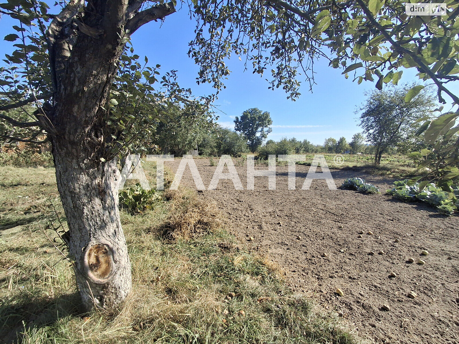 одноэтажный дом, 90 кв. м, кирпич. Продажа в Дашковцах фото 1 одноэтажный дом, 90 кв. м, кирпич. Продажа в Дашковцах фото 1