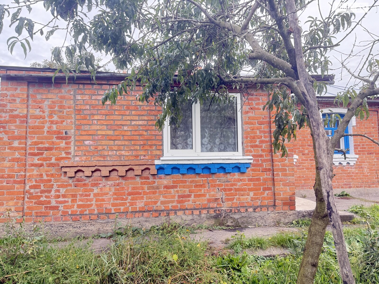 одноповерховий будинок з верандою, 54.6 кв. м, цегла. Продаж у Дашківцях фото 1