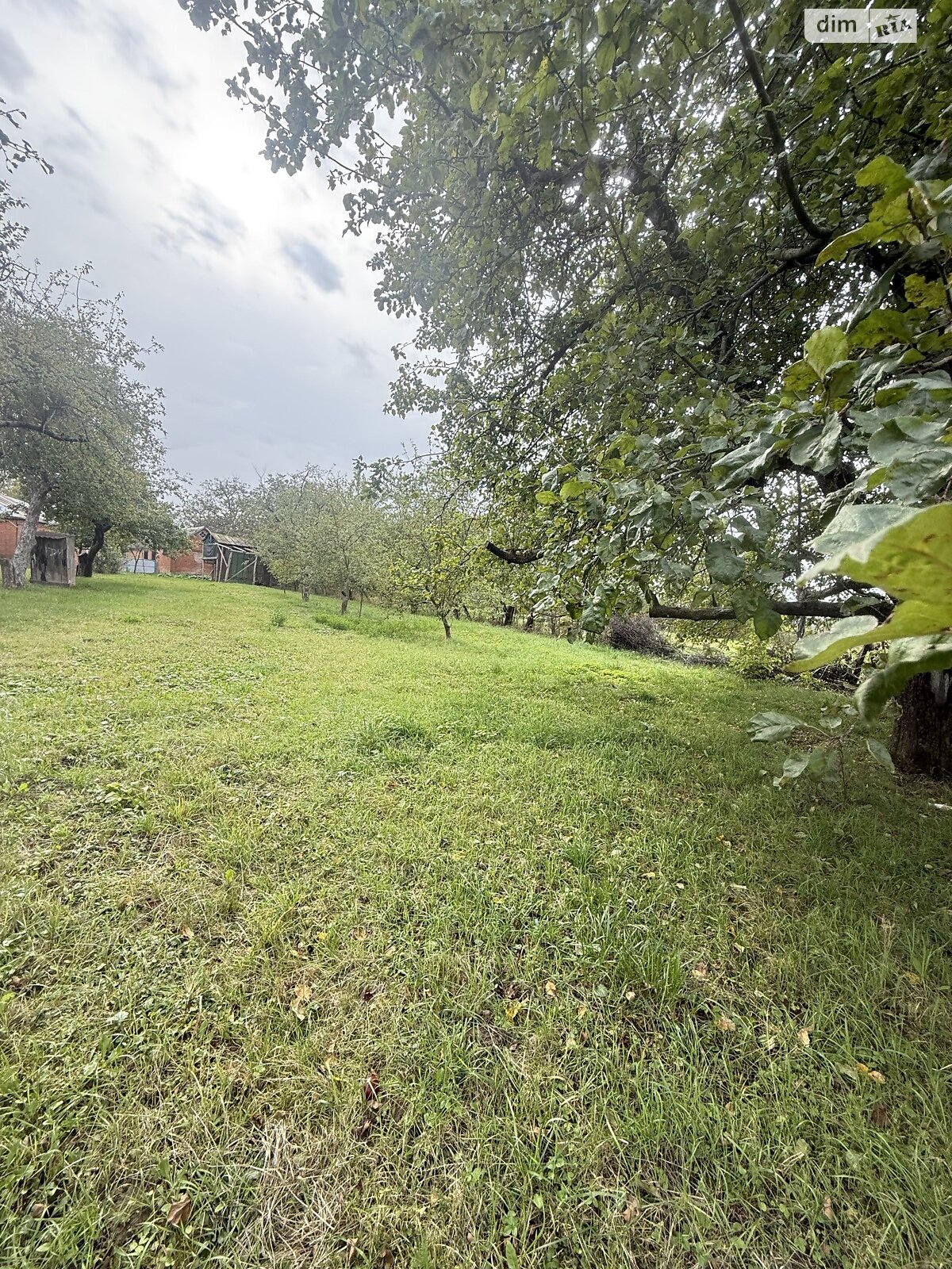 одноповерховий будинок з верандою, 54.6 кв. м, цегла. Продаж у Дашківцях фото 1