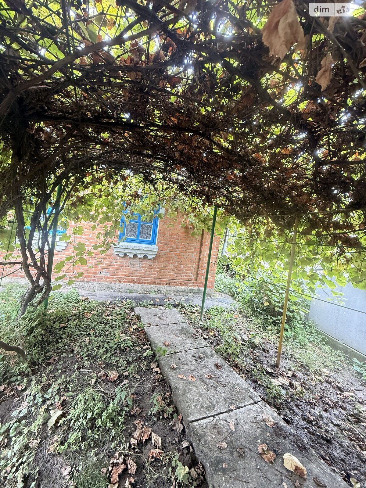 одноповерховий будинок з верандою, 54.6 кв. м, цегла. Продаж у Дашківцях фото 1