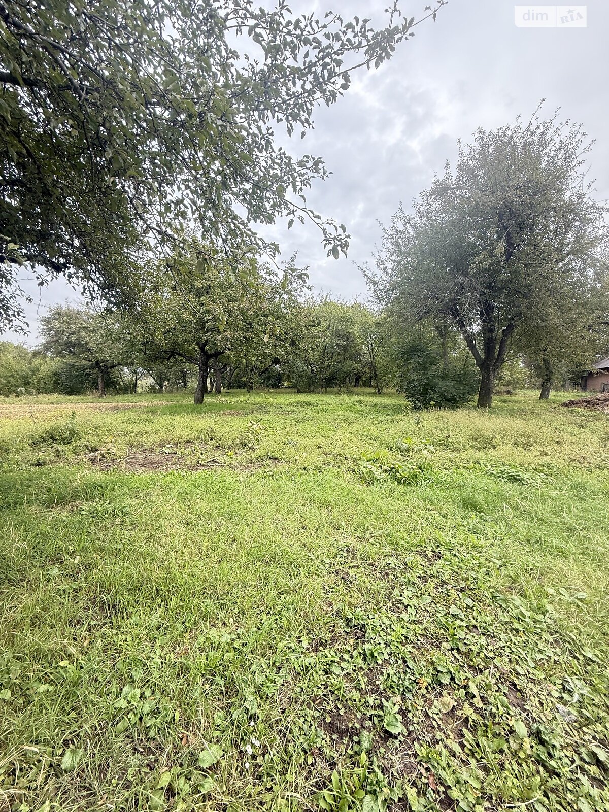 одноповерховий будинок з верандою, 54.6 кв. м, цегла. Продаж у Дашківцях фото 1