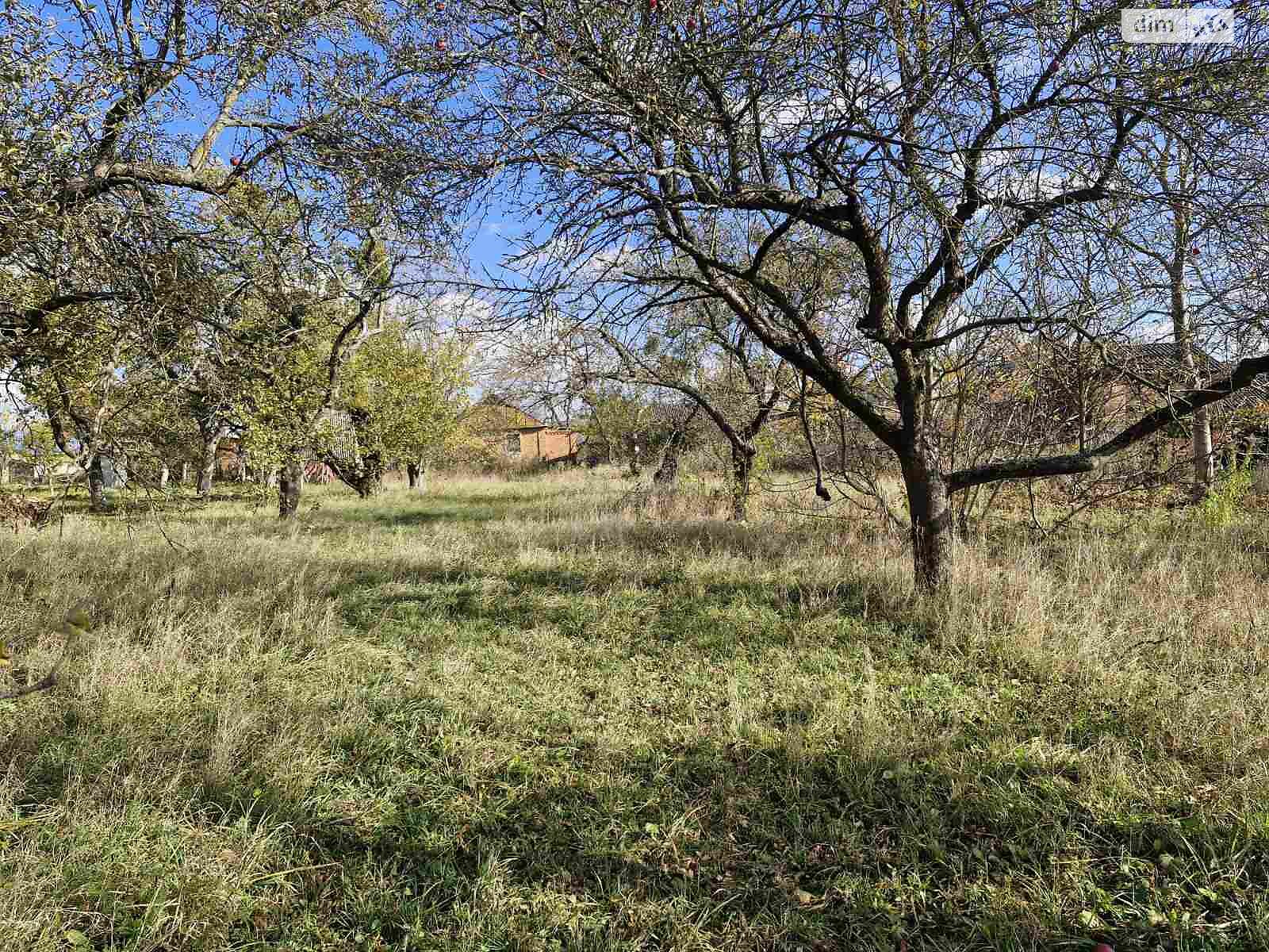 одноповерховий будинок, 64 кв. м, цегла. Продаж у Дашківцях фото 1