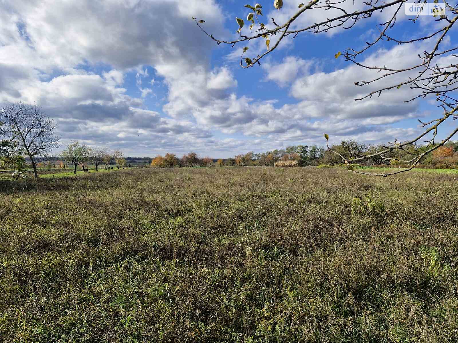 одноповерховий будинок, 64 кв. м, цегла. Продаж у Дашківцях фото 1