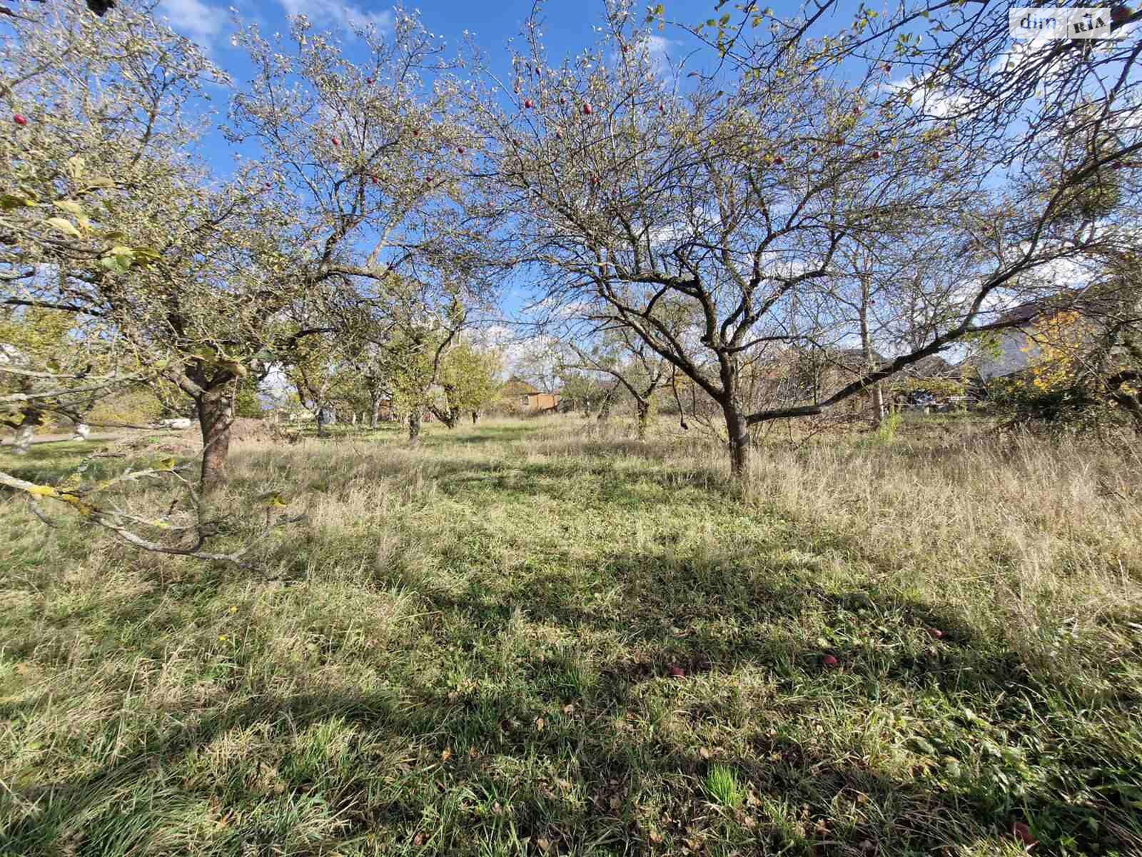 одноповерховий будинок, 64 кв. м, цегла. Продаж у Дашківцях фото 1