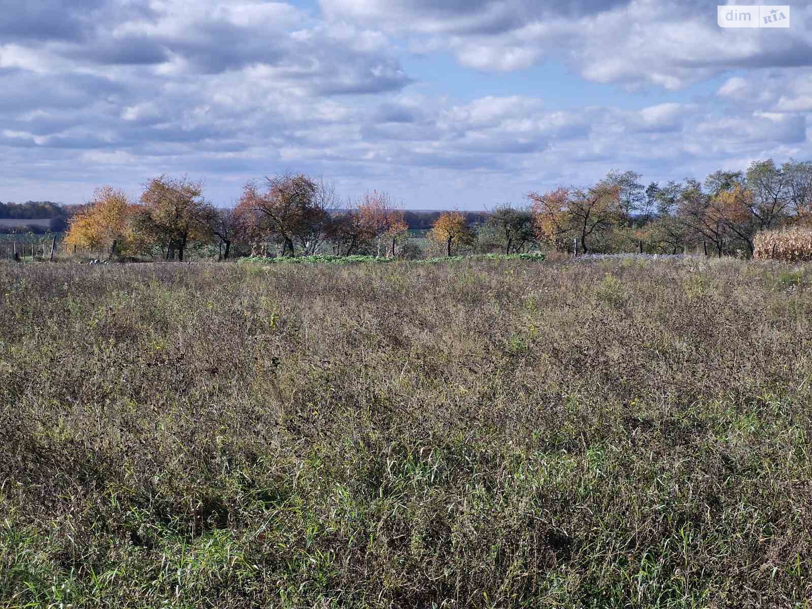 одноповерховий будинок, 64 кв. м, цегла. Продаж у Дашківцях фото 1