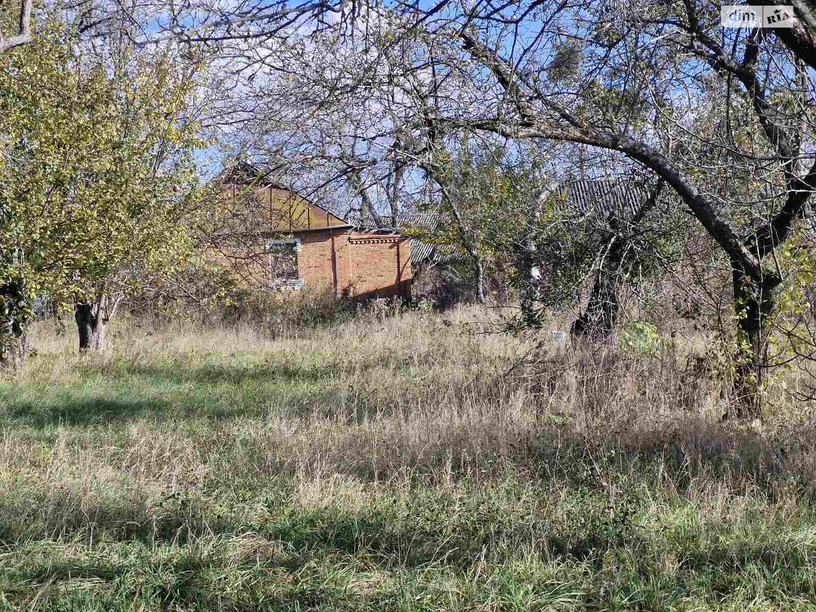 одноповерховий будинок, 64 кв. м, цегла. Продаж у Дашківцях фото 1