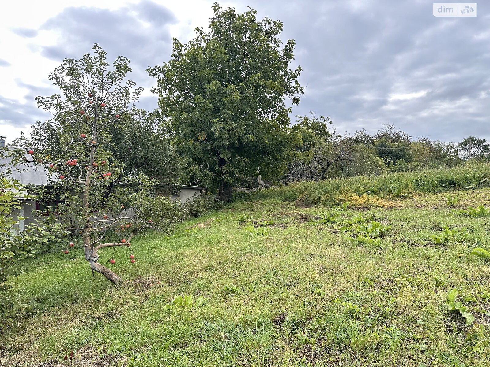 одноэтажный дом, 45 кв. м, кирпич. Продажа в Дашковцах фото 1