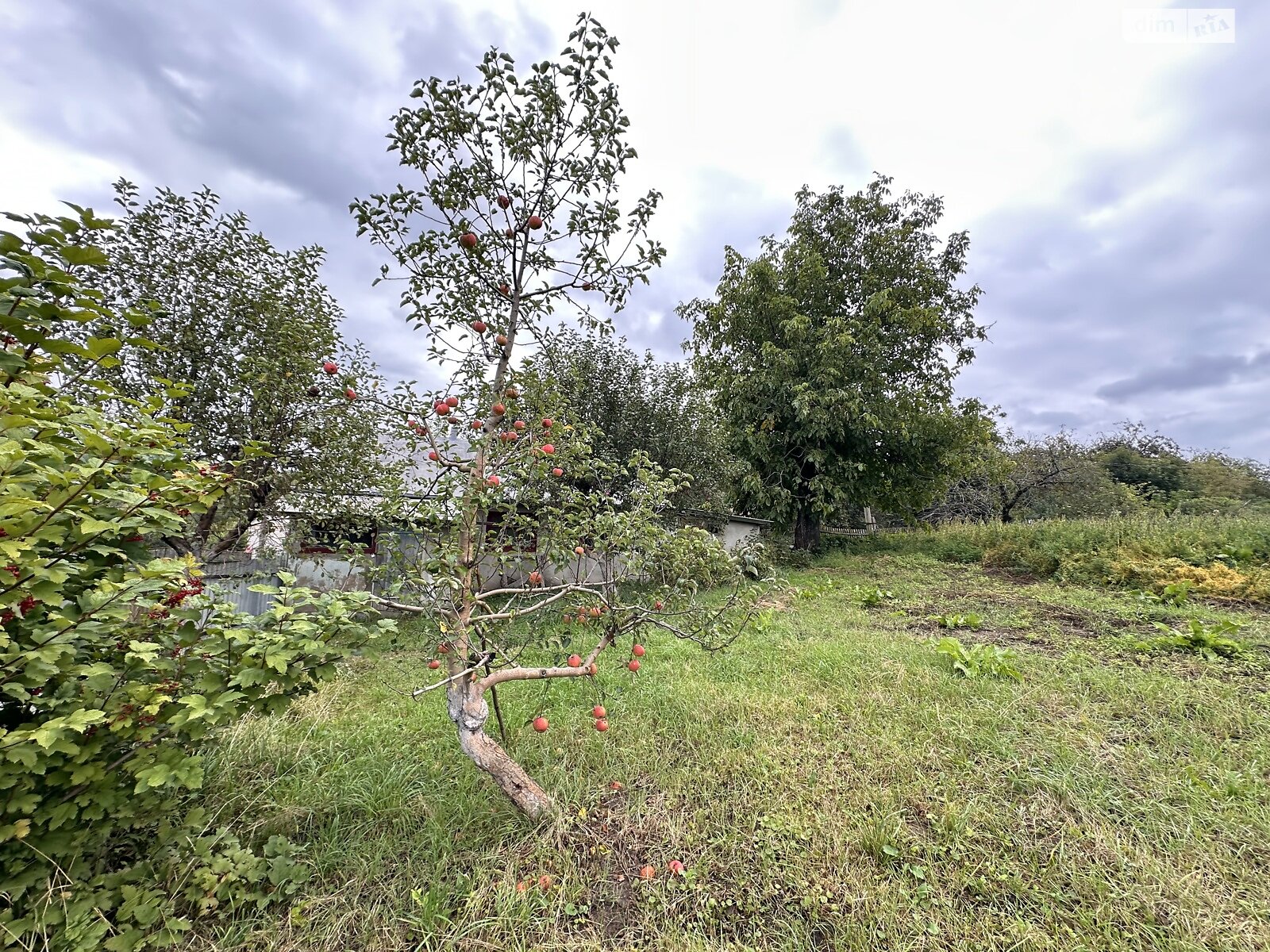 одноэтажный дом, 45 кв. м, кирпич. Продажа в Дашковцах фото 1