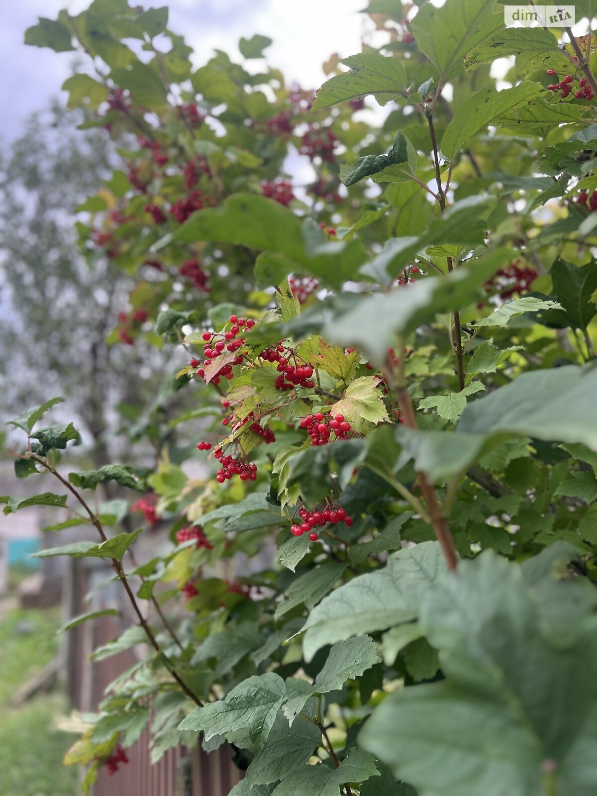 одноэтажный дом с верандой, 45.2 кв. м, кирпич. Продажа в Дашковцах фото 1 одноэтажный дом с верандой, 45.2 кв. м, кирпич. Продажа в Дашковцах фото 1