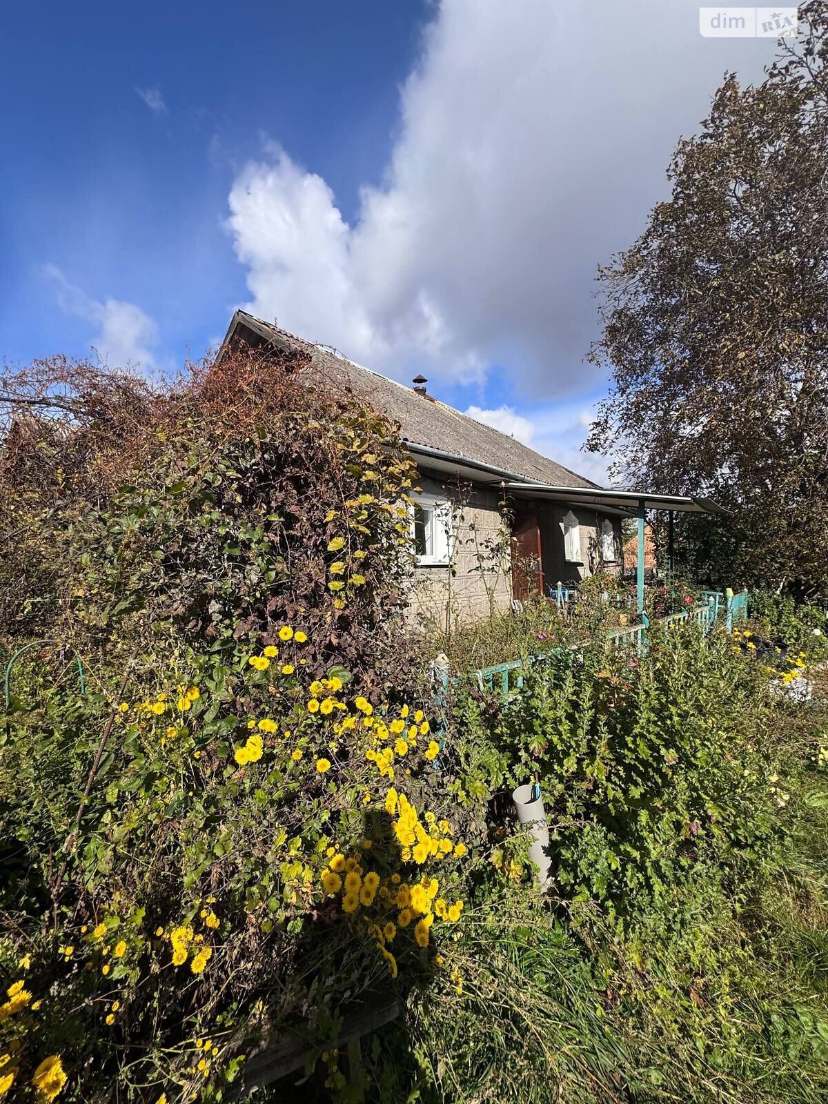 одноэтажный дом с отоплением, 52.5 кв. м, глинобитный. Продажа в Давыдковцах фото 1 одноэтажный дом с отоплением, 52.5 кв. м, глинобитный. Продажа в Давыдковцах фото 1