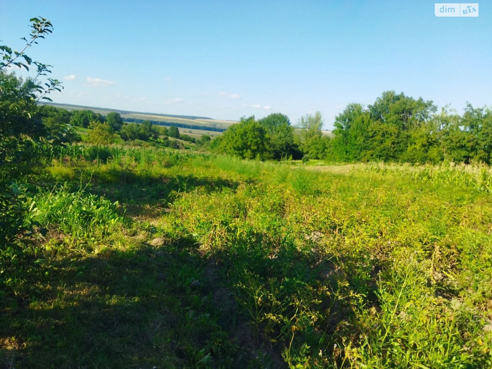 двоповерховий будинок з опаленням, 98 кв. м, цегла. Продаж у Давидківцях фото 1 двоповерховий будинок з опаленням, 98 кв. м, цегла. Продаж у Давидківцях фото 1