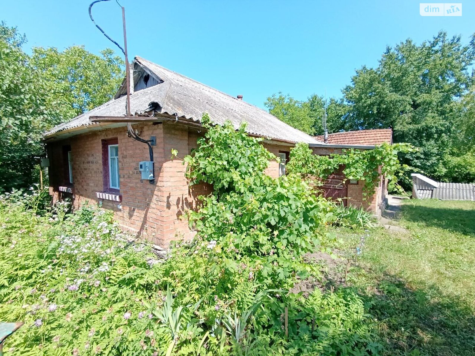 одноповерховий будинок з верандою, 70.2 кв. м, глинобитний. Продаж у Давидківцях фото 1 одноповерховий будинок з верандою, 70.2 кв. м, глинобитний. Продаж у Давидківцях фото 1