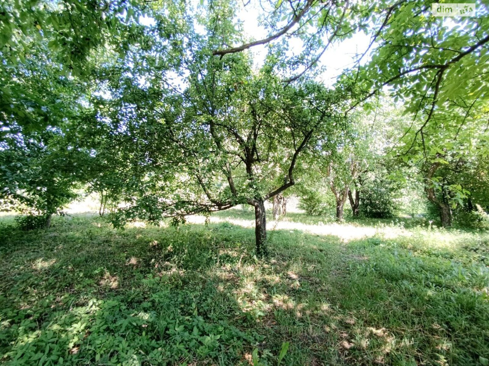 одноповерховий будинок з верандою, 70.2 кв. м, глинобитний. Продаж у Давидківцях фото 1 одноповерховий будинок з верандою, 70.2 кв. м, глинобитний. Продаж у Давидківцях фото 1