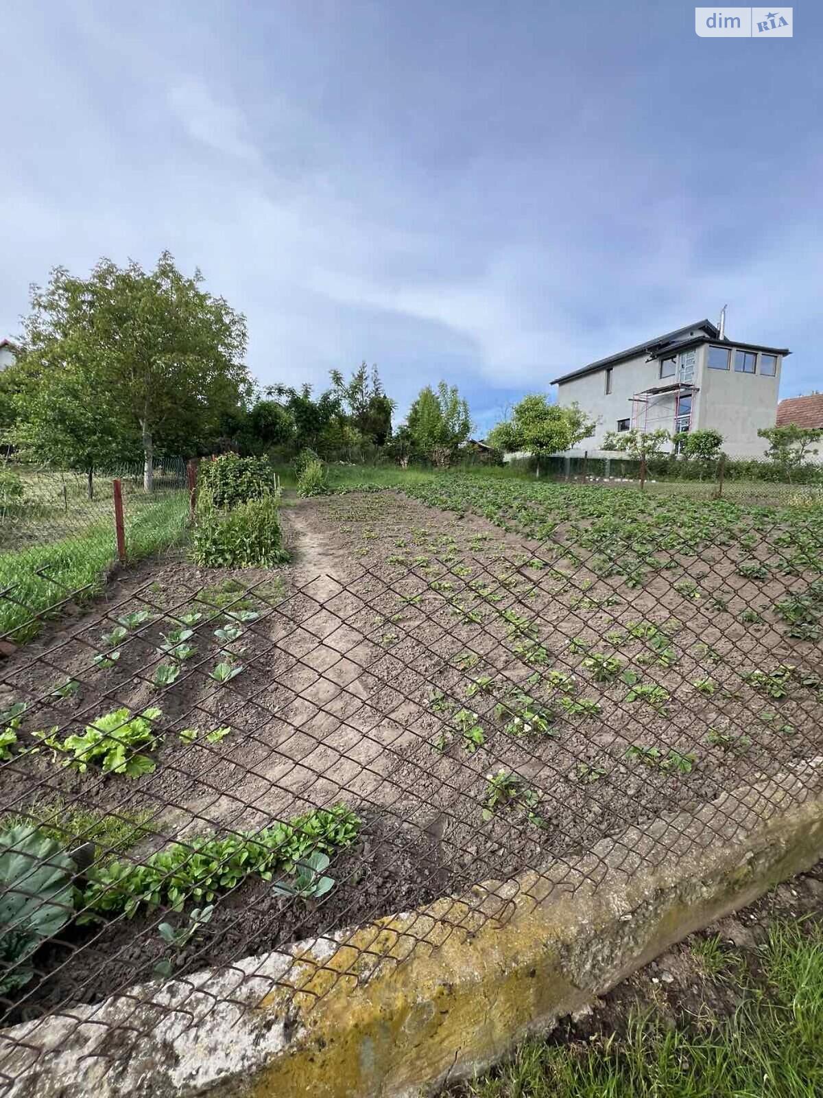 одноповерховий будинок з опаленням, 79.9 кв. м, цегла. Продаж у Давидові фото 1