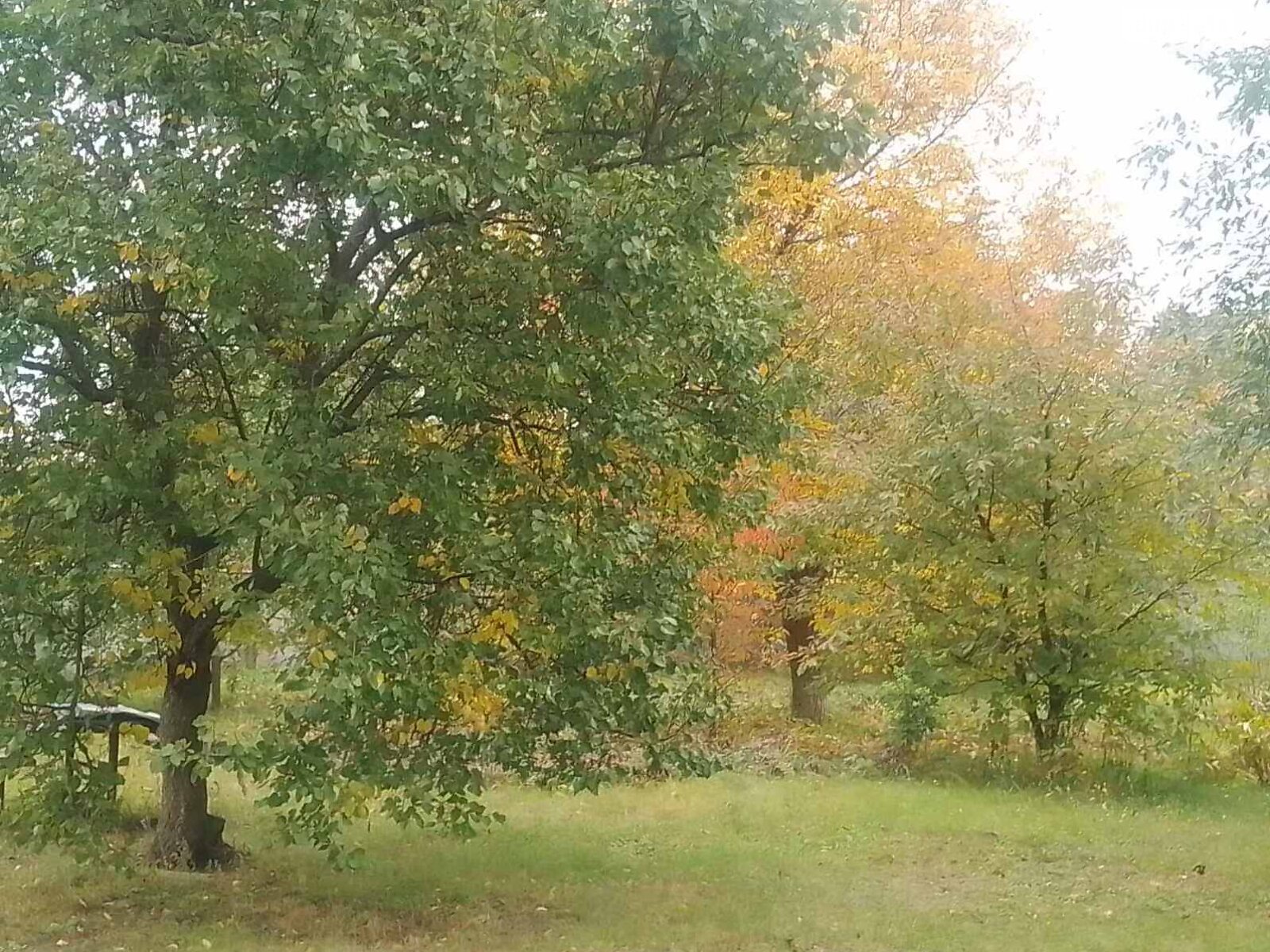 одноэтажный дом с отоплением, 67 кв. м, дерево и кирпич. Продажа в Давыдовке фото 1 одноэтажный дом с отоплением, 67 кв. м, дерево и кирпич. Продажа в Давыдовке фото 1