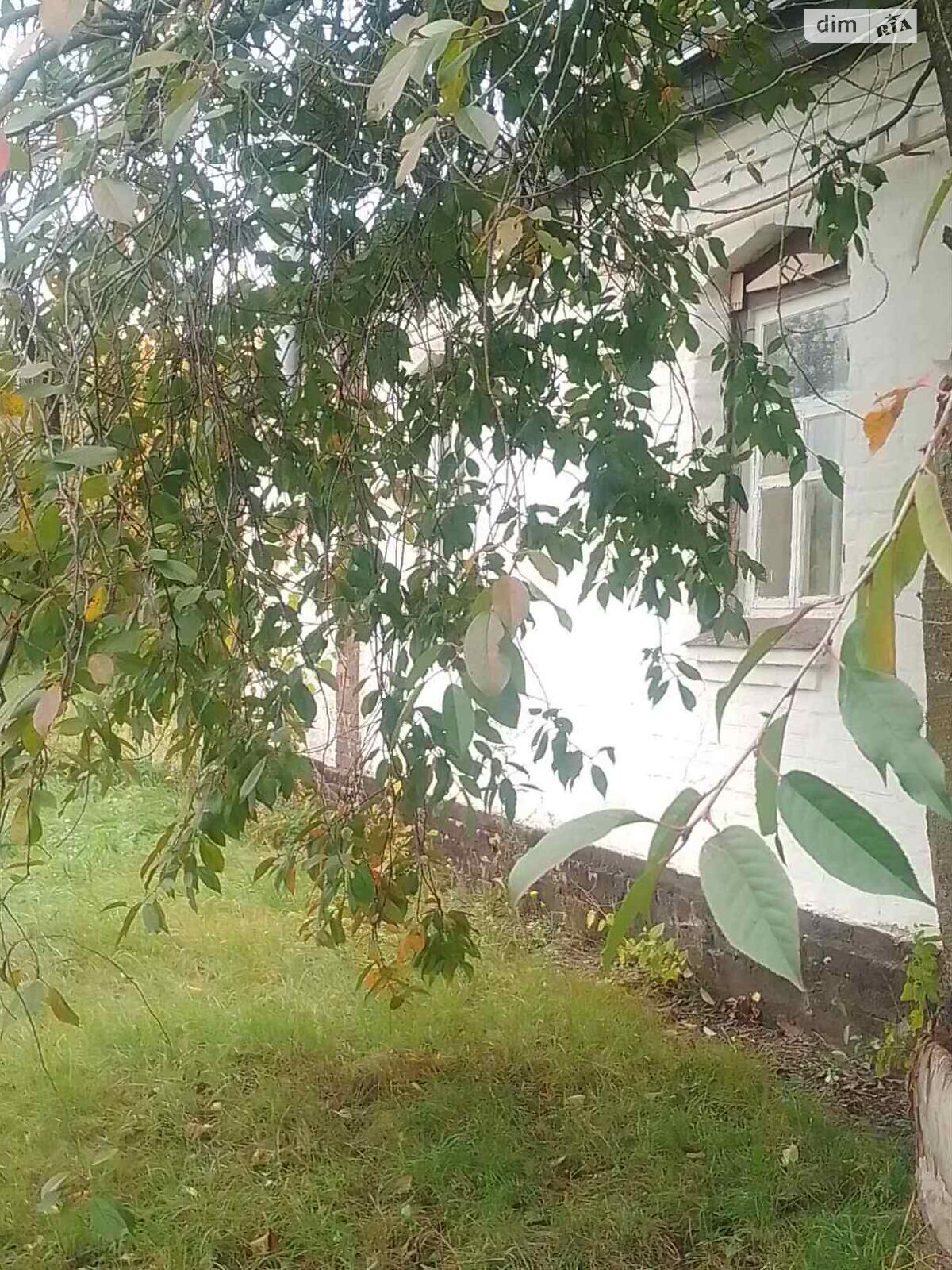 одноэтажный дом с отоплением, 67 кв. м, дерево и кирпич. Продажа в Давыдовке фото 1 одноэтажный дом с отоплением, 67 кв. м, дерево и кирпич. Продажа в Давыдовке фото 1