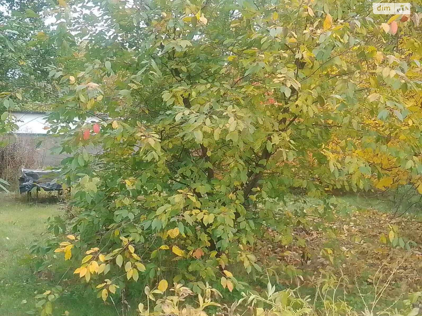 одноэтажный дом с отоплением, 67 кв. м, дерево и кирпич. Продажа в Давыдовке фото 1 одноэтажный дом с отоплением, 67 кв. м, дерево и кирпич. Продажа в Давыдовке фото 1