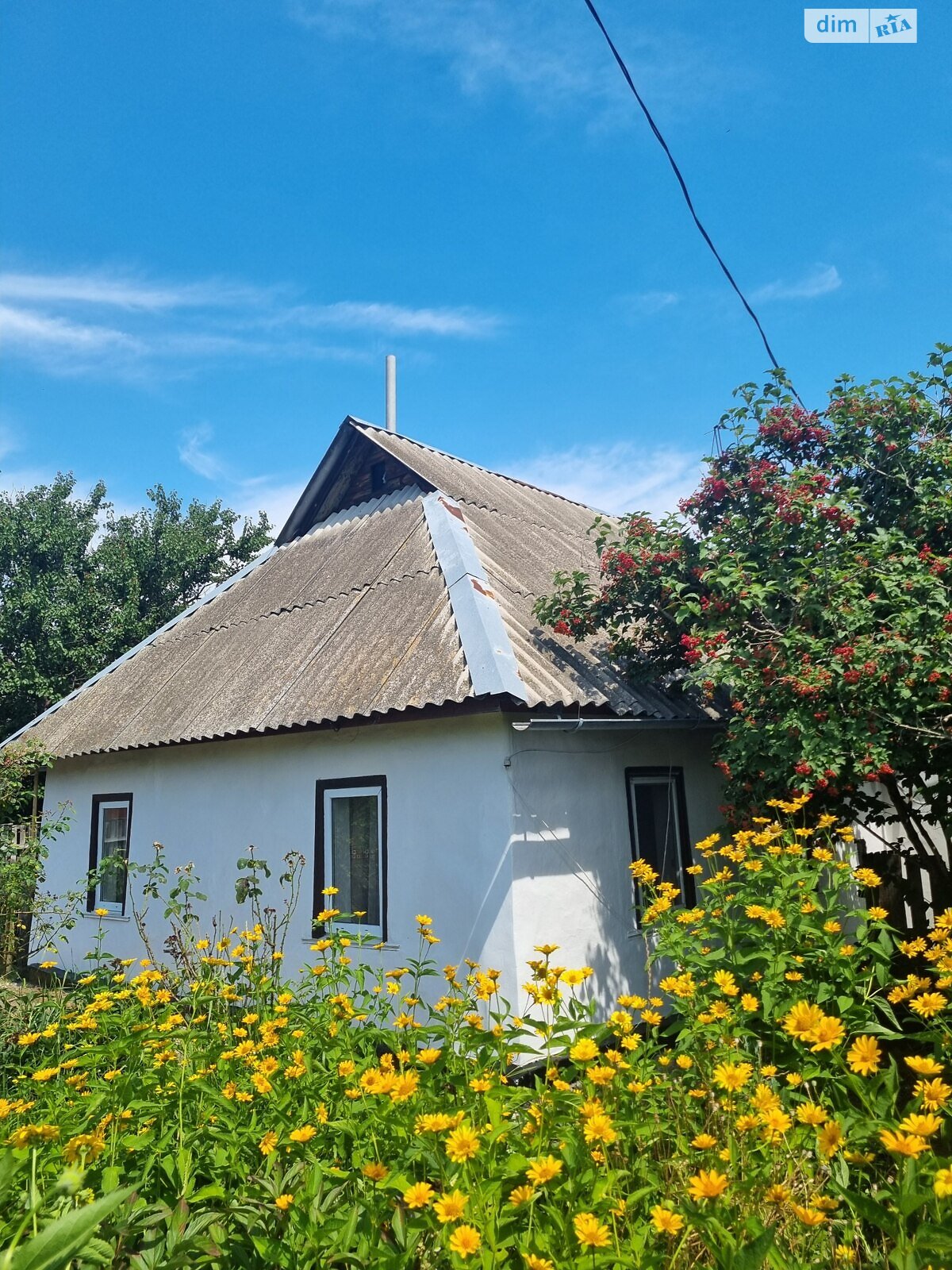одноповерховий будинок з опаленням, 80 кв. м, цегла. Продаж у Дідівщині фото 1 одноповерховий будинок з опаленням, 80 кв. м, цегла. Продаж у Дідівщині фото 1